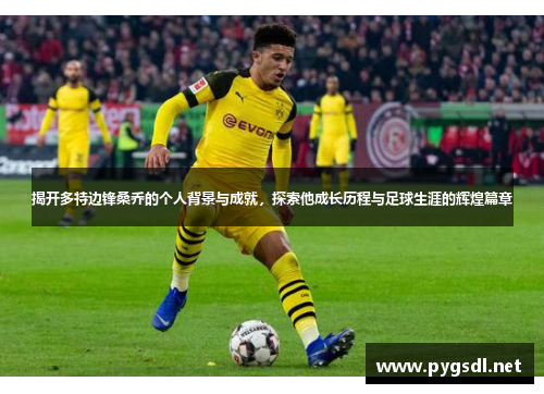揭开多特边锋桑乔的个人背景与成就，探索他成长历程与足球生涯的辉煌篇章
