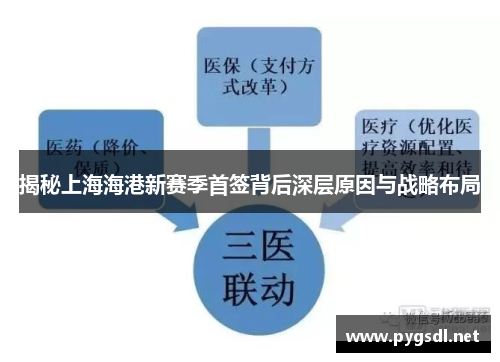 揭秘上海海港新赛季首签背后深层原因与战略布局