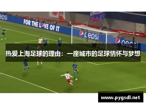 热爱上海足球的理由：一座城市的足球情怀与梦想