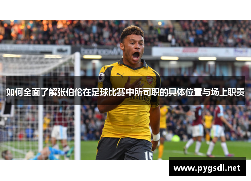 如何全面了解张伯伦在足球比赛中所司职的具体位置与场上职责