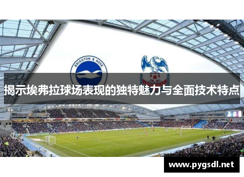 揭示埃弗拉球场表现的独特魅力与全面技术特点