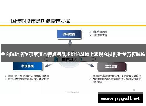 全面解析洛塞尔索技术特点与战术价值及场上表现深度剖析全方位解读 全面解析洛塞尔索技术特点与战术价值及场上表现深度剖析全方位解读