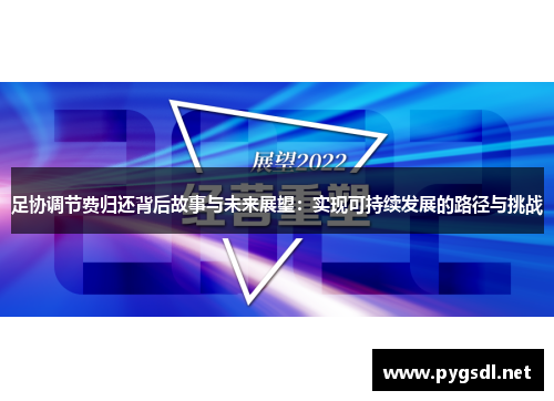 足协调节费归还背后故事与未来展望：实现可持续发展的路径与挑战