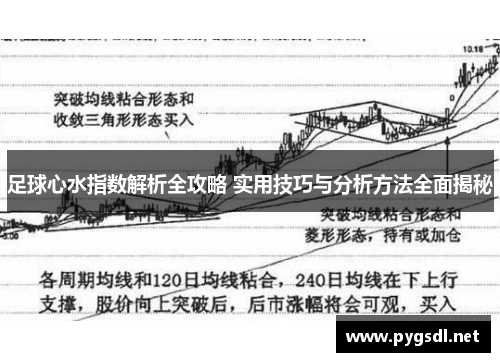 足球心水指数解析全攻略 实用技巧与分析方法全面揭秘